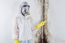 Why You Should Choose Our Mold Remediation Services in Yorketown, NJ